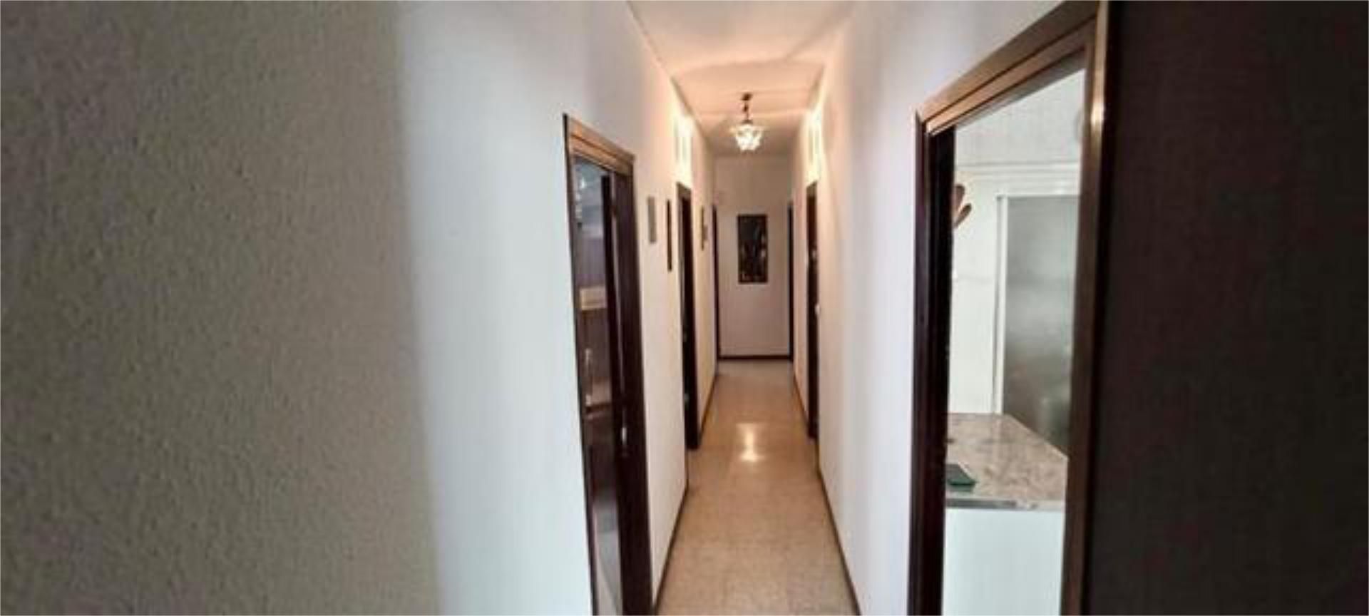 Flat to rent in El Valle - Universidad