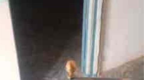 Photo 4 of House or chalet for sale in Villanueva de la Sierra, Cáceres