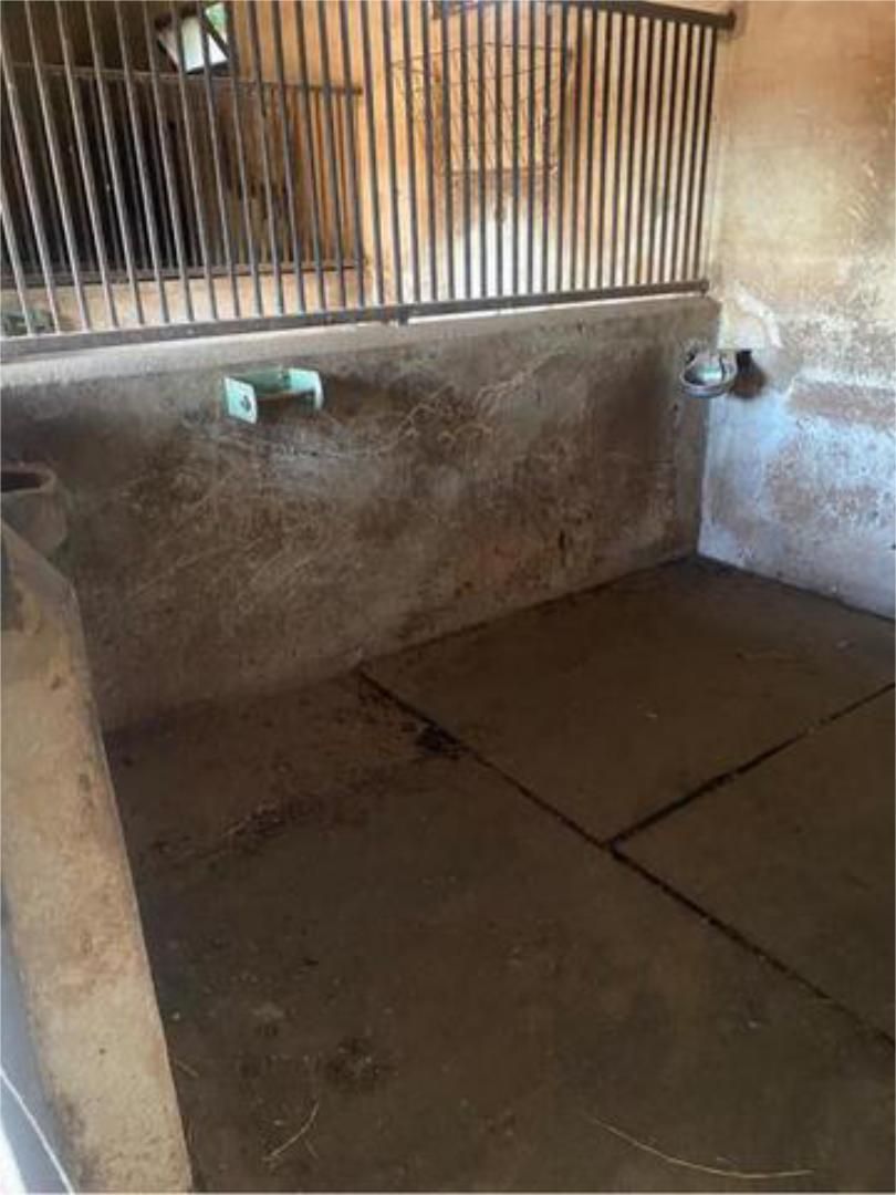 Bany de Garatge de lloguer en Llucmajor