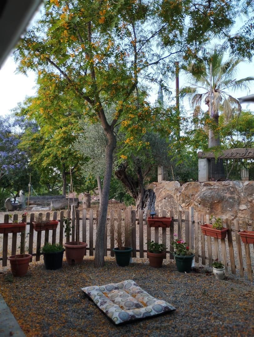 Garden of House or chalet to share in Bétera  with Private garden, Parquet flooring and Terrace