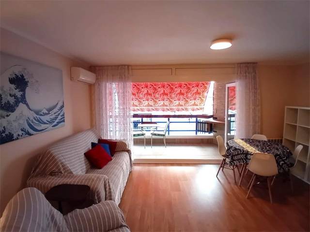 Piso en Alquiler en Calle General Serrano, 10 en Carolinas Bajas