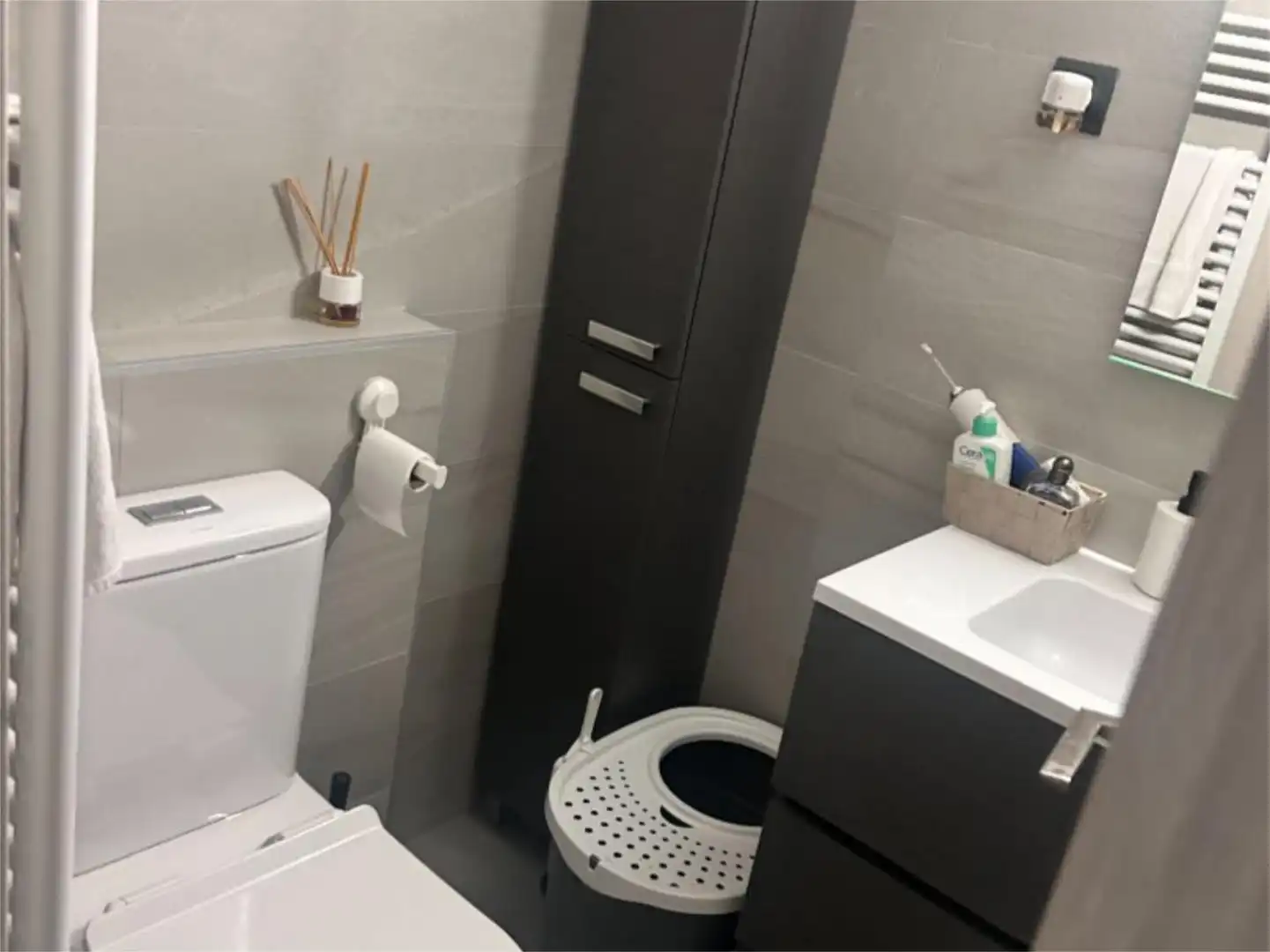 Flat for sale in Calle el Almendro, 4, El Molar (Madrid) Bathroom of Flat for sale in El Molar (Madrid) with Air Conditioner and Swimming Pool