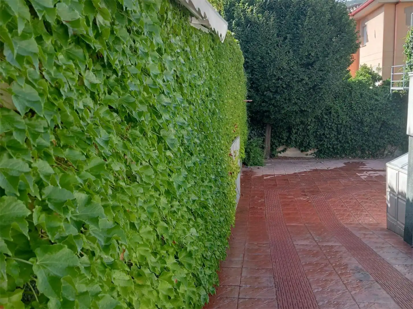 Piso en venta en Plaza de la Entrada, 1, La Guardia de Jaén Jardín de Piso en venta en La Guardia de Jaén con Calefacción, Jardín privado y Parquet