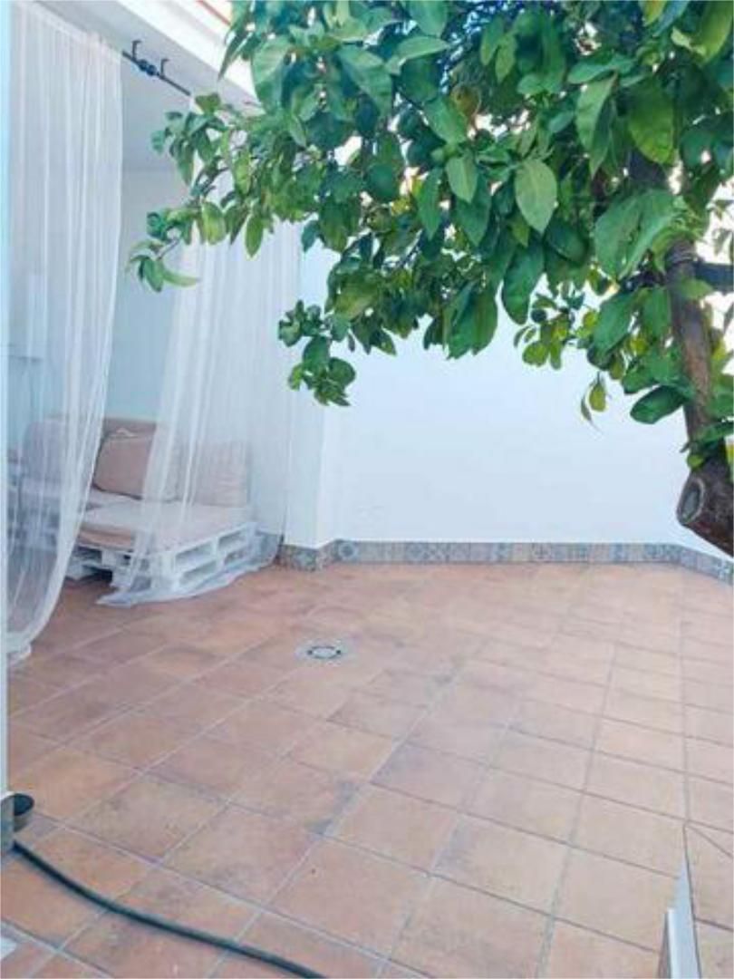 Garden of House or chalet for sale in El Almendro