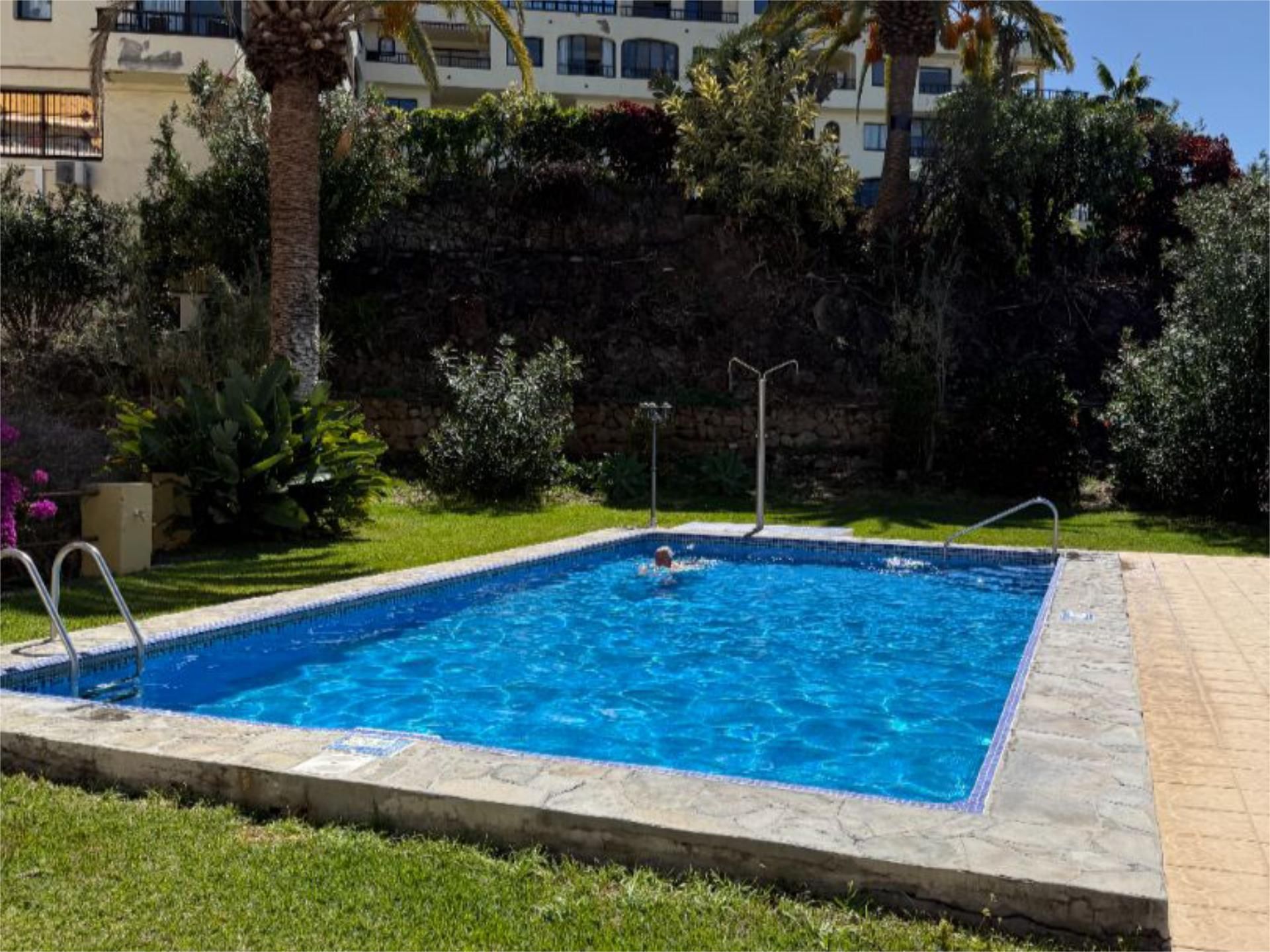 Swimming pool of Flat to rent in Puerto de la Cruz  with Private garden, Swimming Pool and Furnished