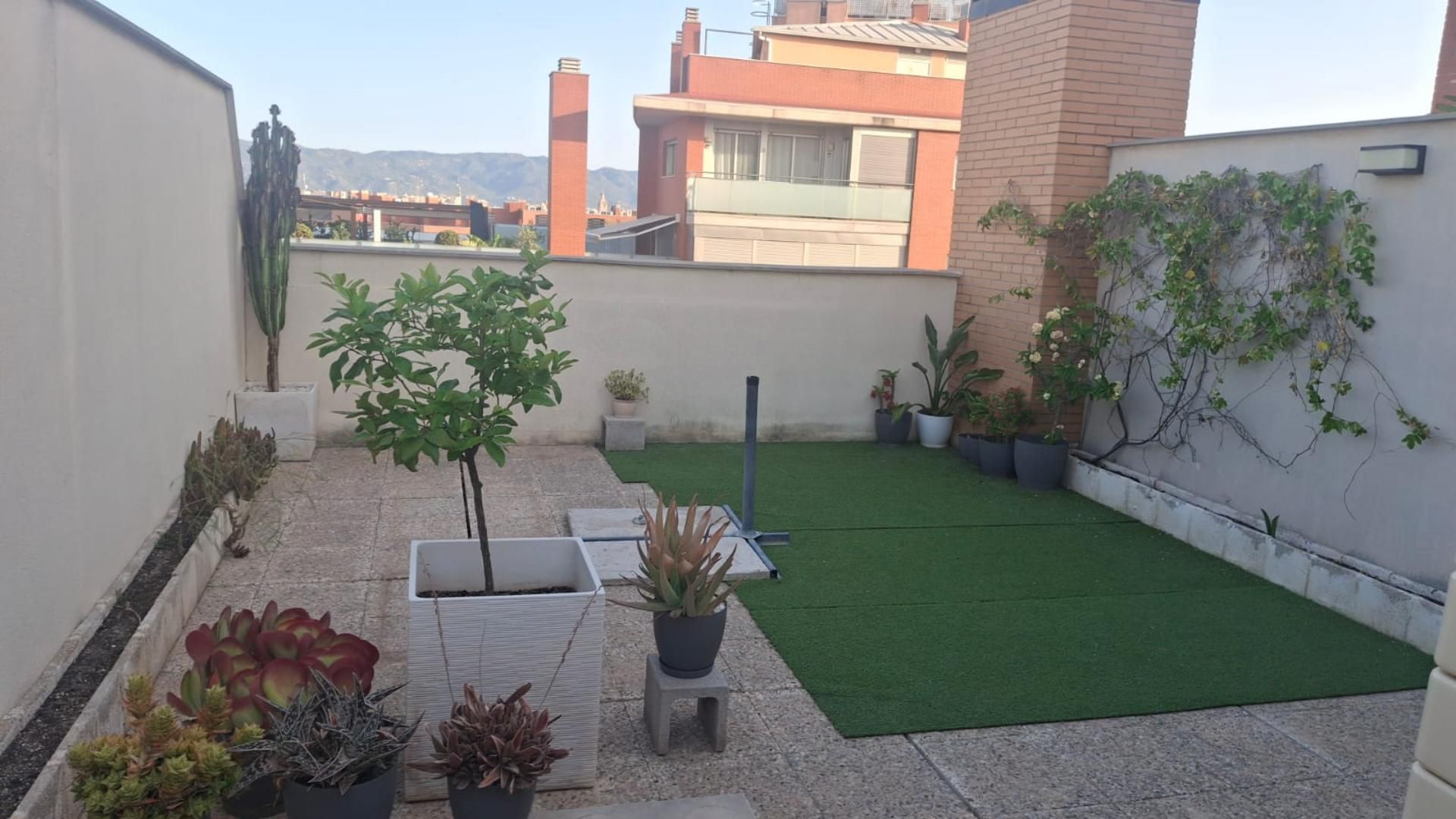Terrace of Attic to rent in  Murcia Capital  with Air Conditioner, Terrace and Swimming Pool