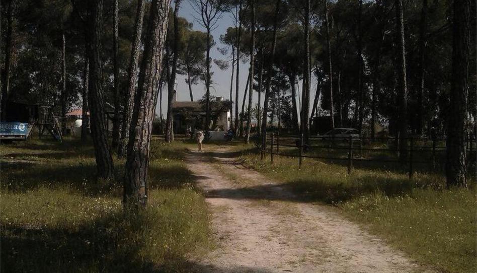 Country house for sale in Path Montehigo, S/n, Almonte ciudad, Huelva - image 1 Photo 1 of Country house for sale in Path Montehigo, S/n, Almonte ciudad, Huelva