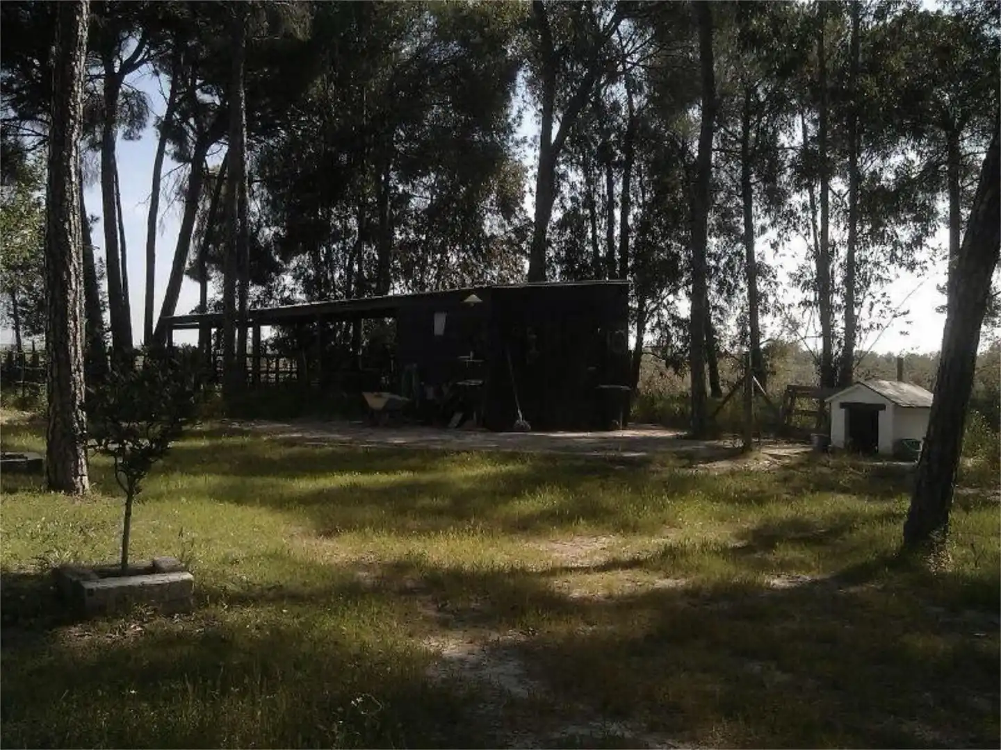 Finca rústica en venta en Montehigo, Almonte ciudad Vista exterior de Finca rústica en venta en Almonte con Jardín privado, Terraza y Trastero