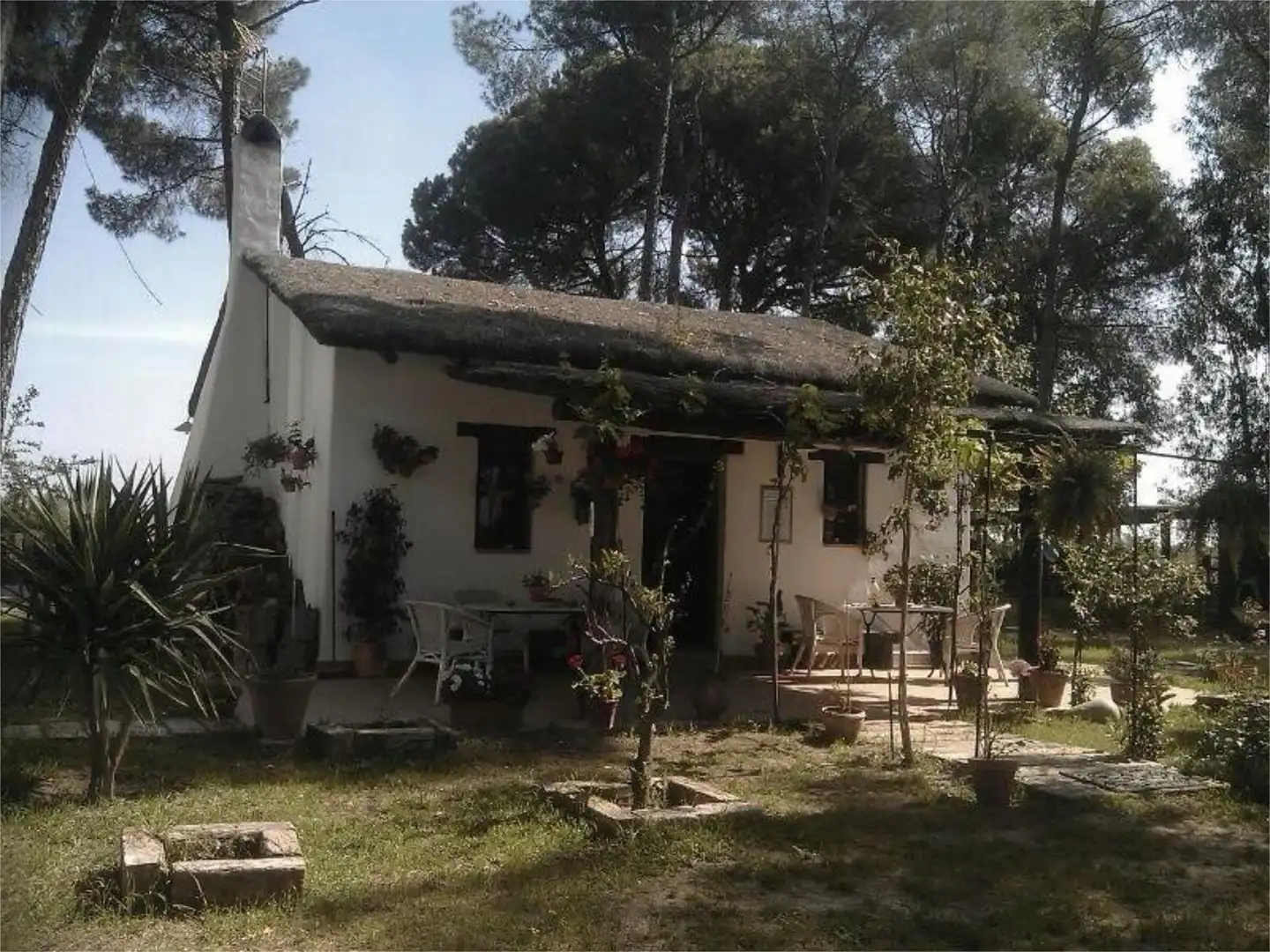 Finca rústica en venta en Montehigo, Almonte ciudad Jardín de Finca rústica en venta en Almonte con Jardín privado, Terraza y Trastero