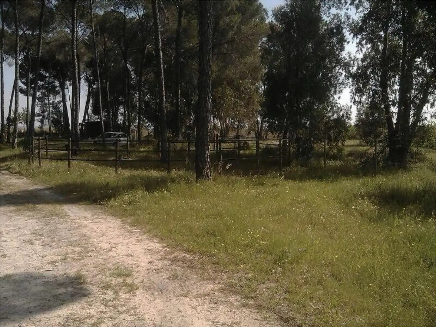 Finca rústica en venta en Montehigo, Almonte ciudad Finca rústica en venta en Almonte con Jardín privado, Terraza y Trastero