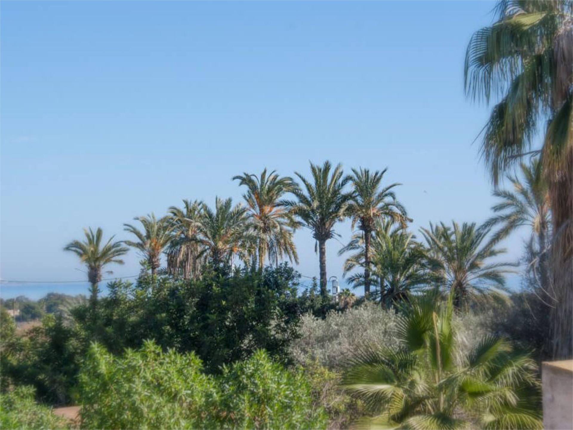 Exterior view of Premises for sale in Elche / Elx