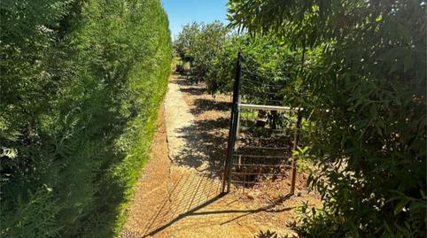 Photo 3 of House or chalet for sale in Camino de Los Rojas, 30, Valdezorras - El Gordillo, Sevilla