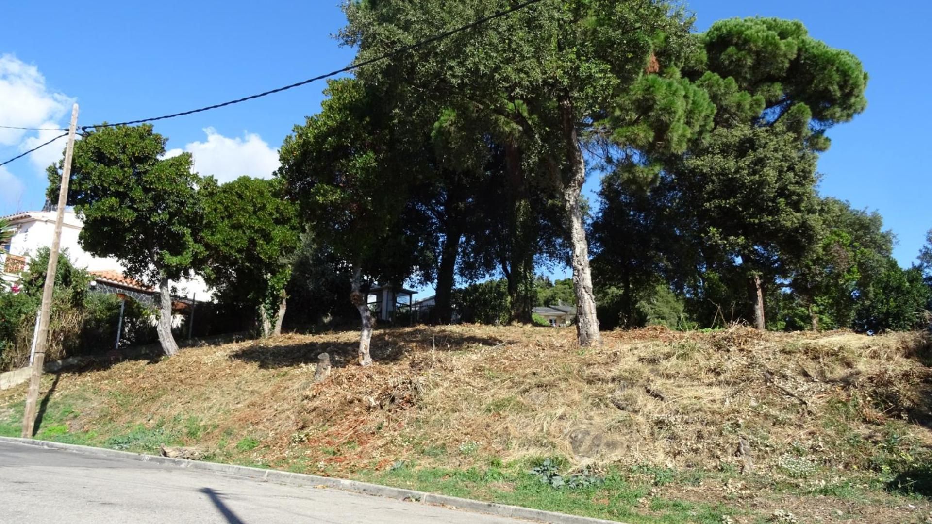 Finca rústica en venda en Sant Cebrià de Vallalta amb Jardí privat