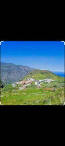 Apartamento en Alquiler en Saucillo - Fagajesto - Juncalillo