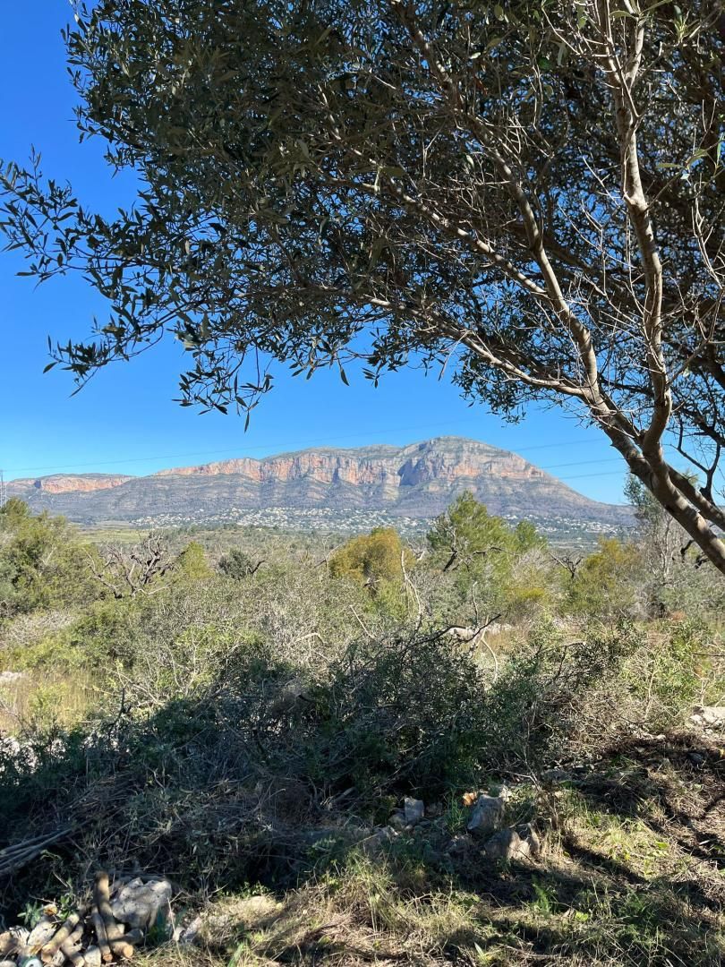 Vista exterior de Finca rústica en venda en Dénia