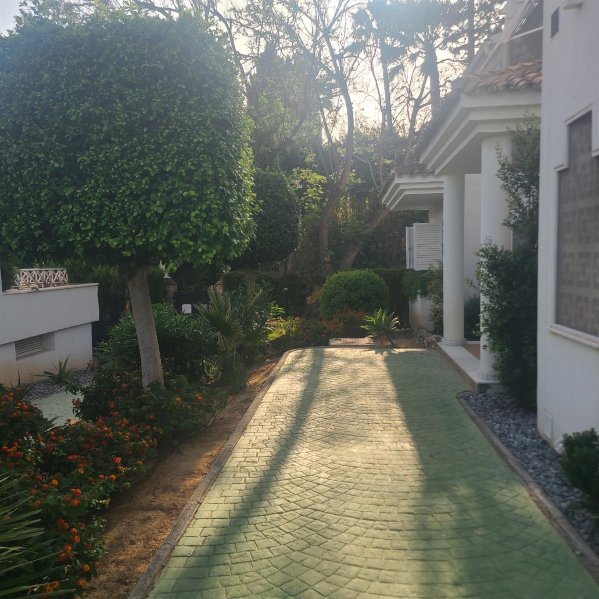 Flat to rent in Avenida de la Alcudia, 3, Río Real