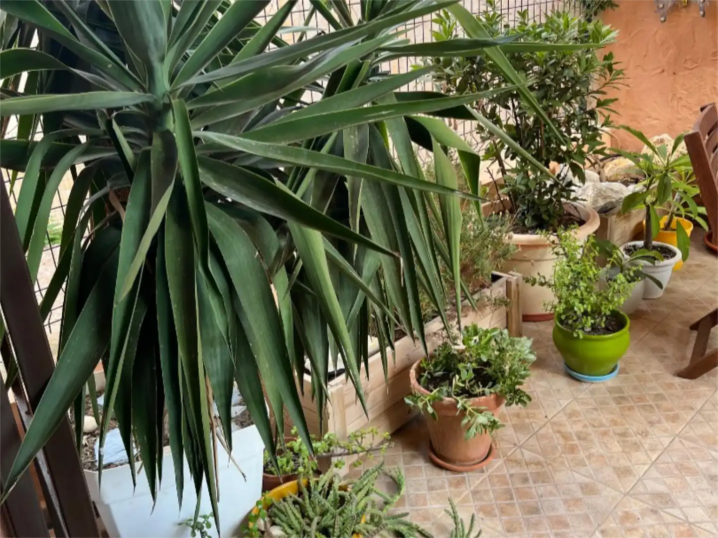 Flat for sale in Calle Isla de la Bahía, 30, Los Puertos Garden of Flat for sale in Cartagena with Private garden, Terrace and Storage room