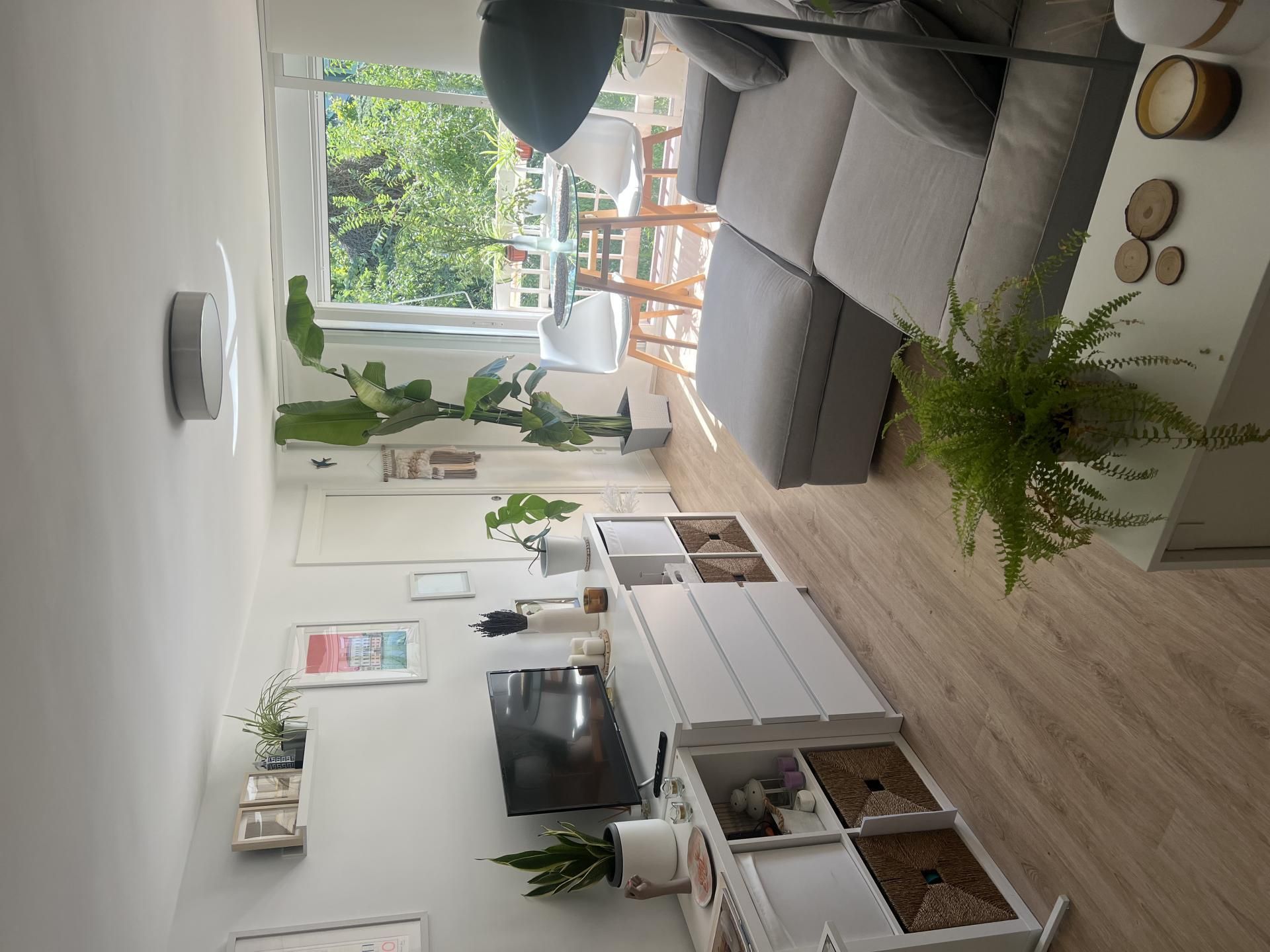 Sala d'estar de Pis de lloguer en  Madrid Capital amb Aire condicionat, Calefacció i Jardí privat