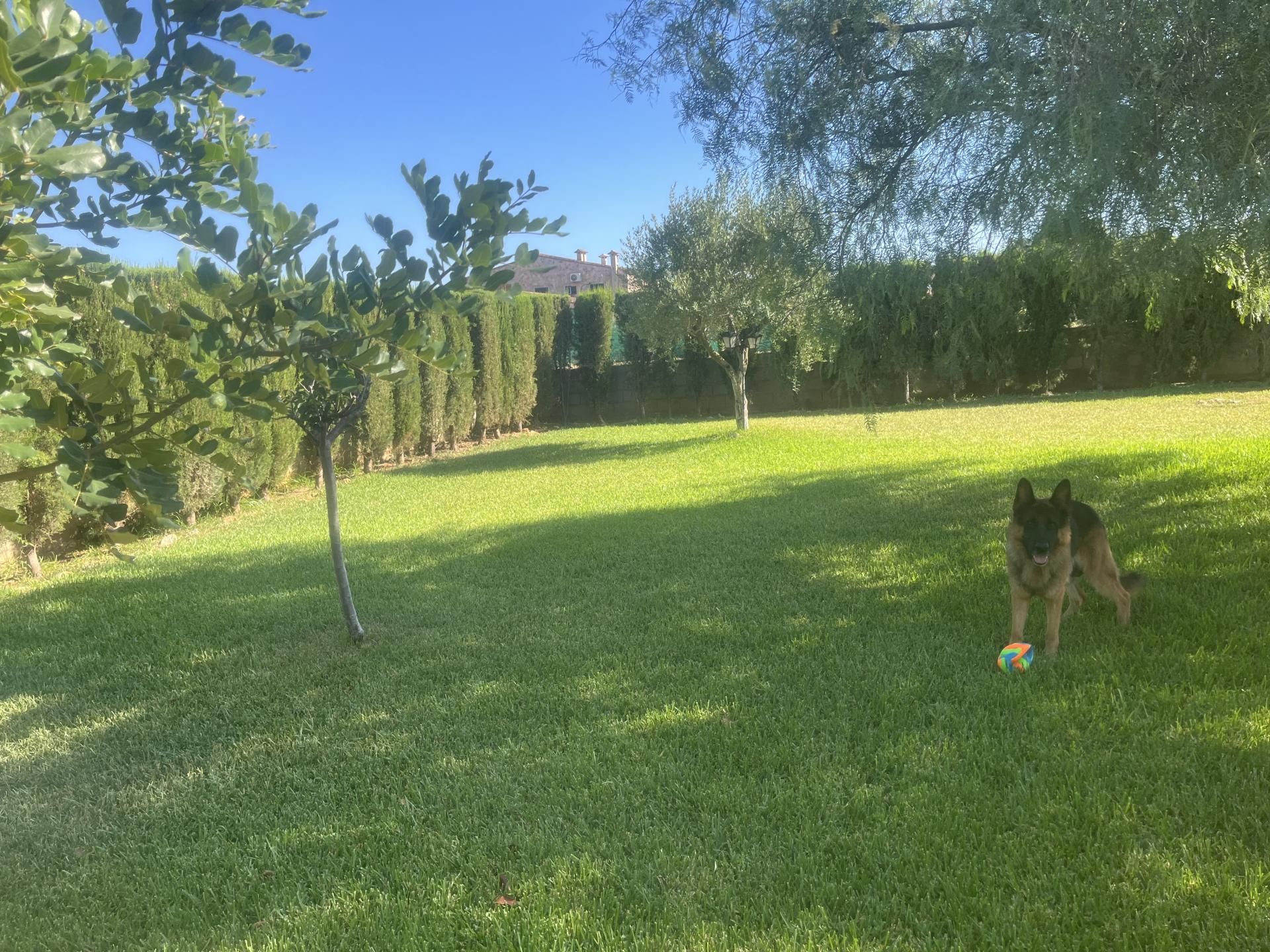 Jardí de Finca rústica en venda en Llucmajor amb Aire condicionat, Terrassa i Piscina