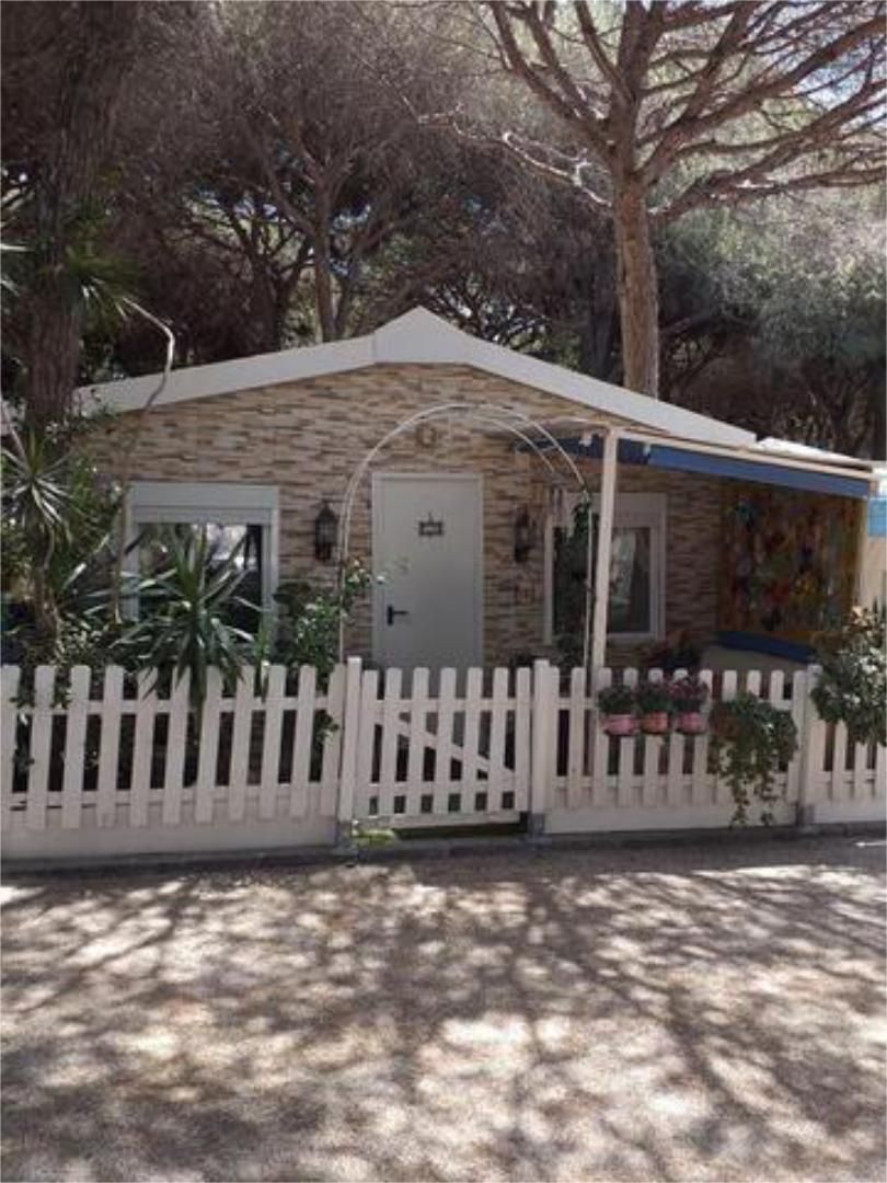 Garden of House or chalet for sale in Marbella  with Terrace and Swimming Pool