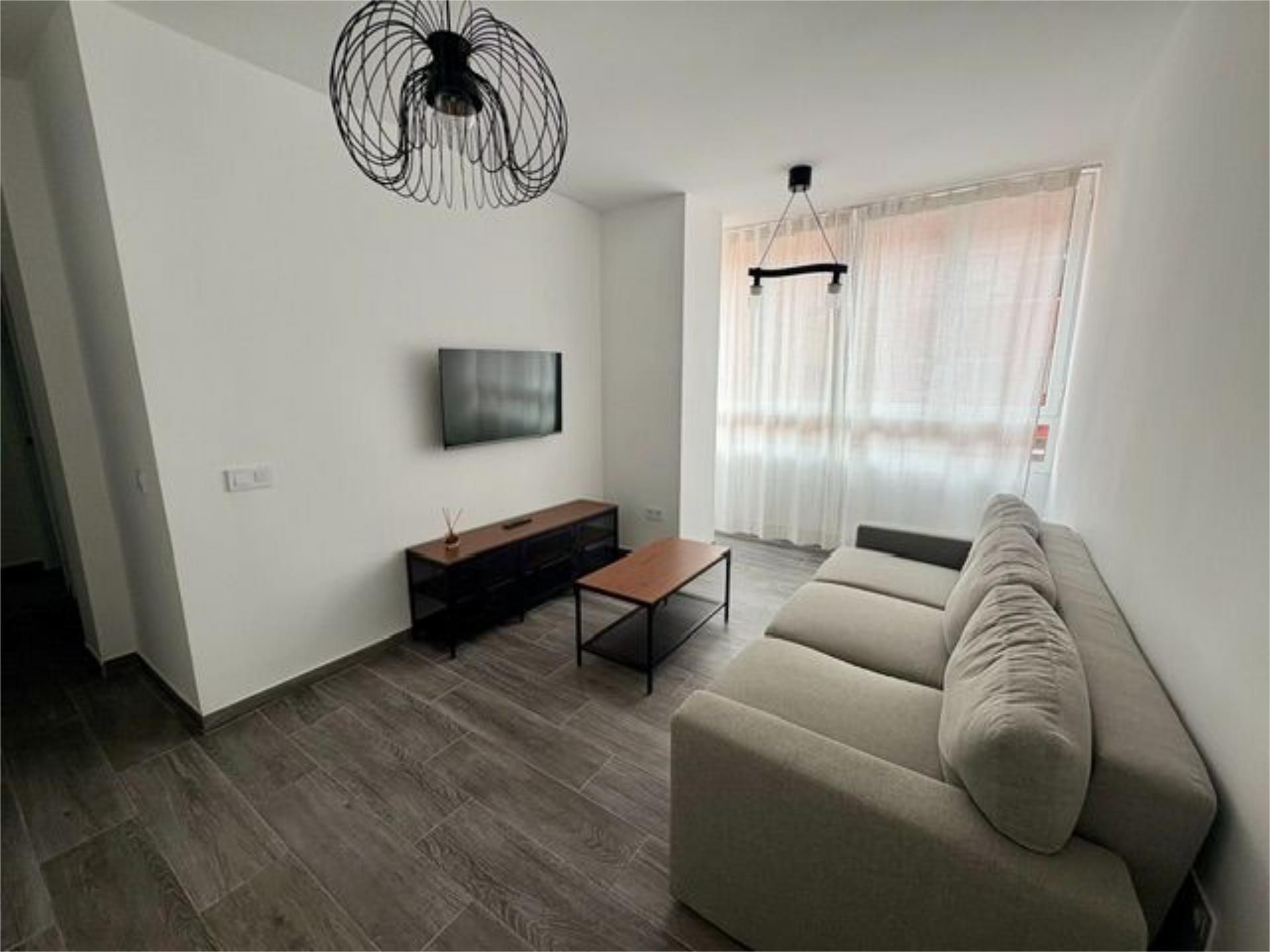 Living room of Flat to rent in Las Palmas de Gran Canaria  with Furnished