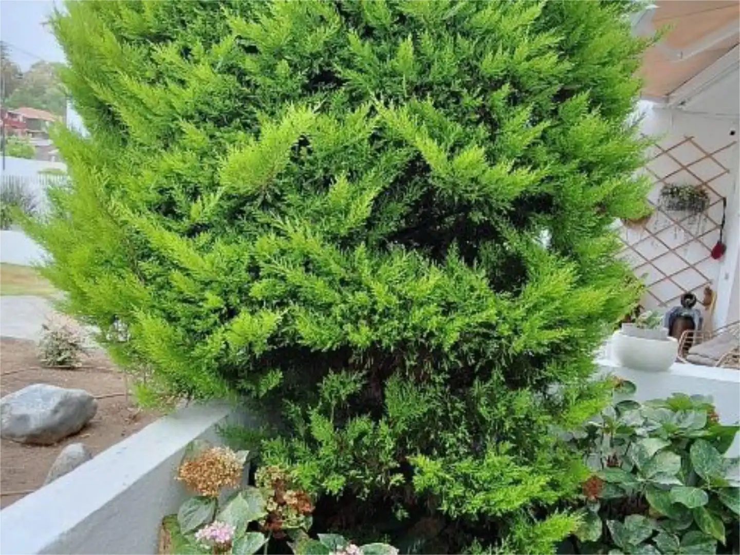 Jardí de Pis en venda en Santa Brígida amb Terrassa