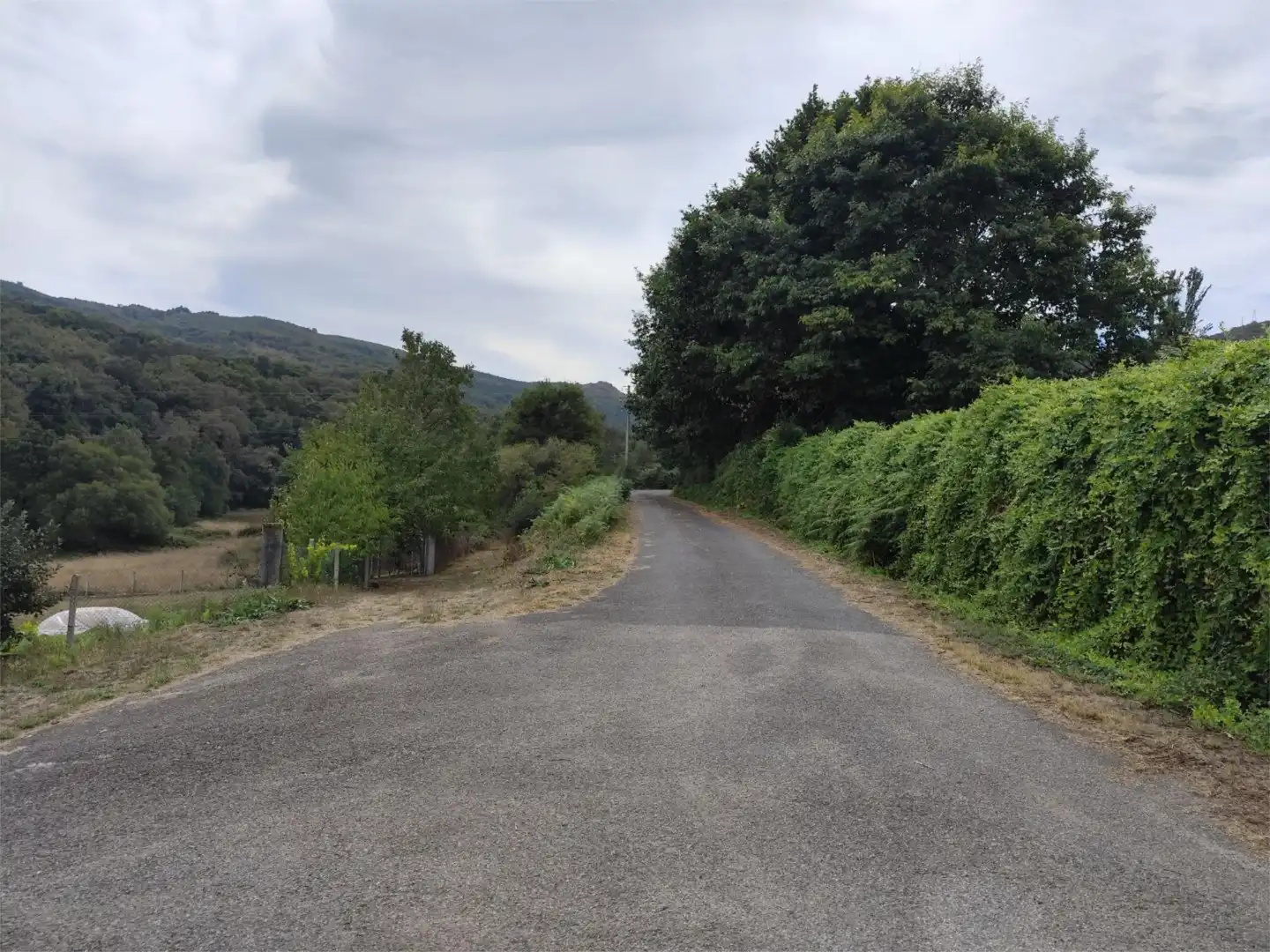 Vista exterior de Casa o xalet en venda en Porqueira amb Moblat i Balcó