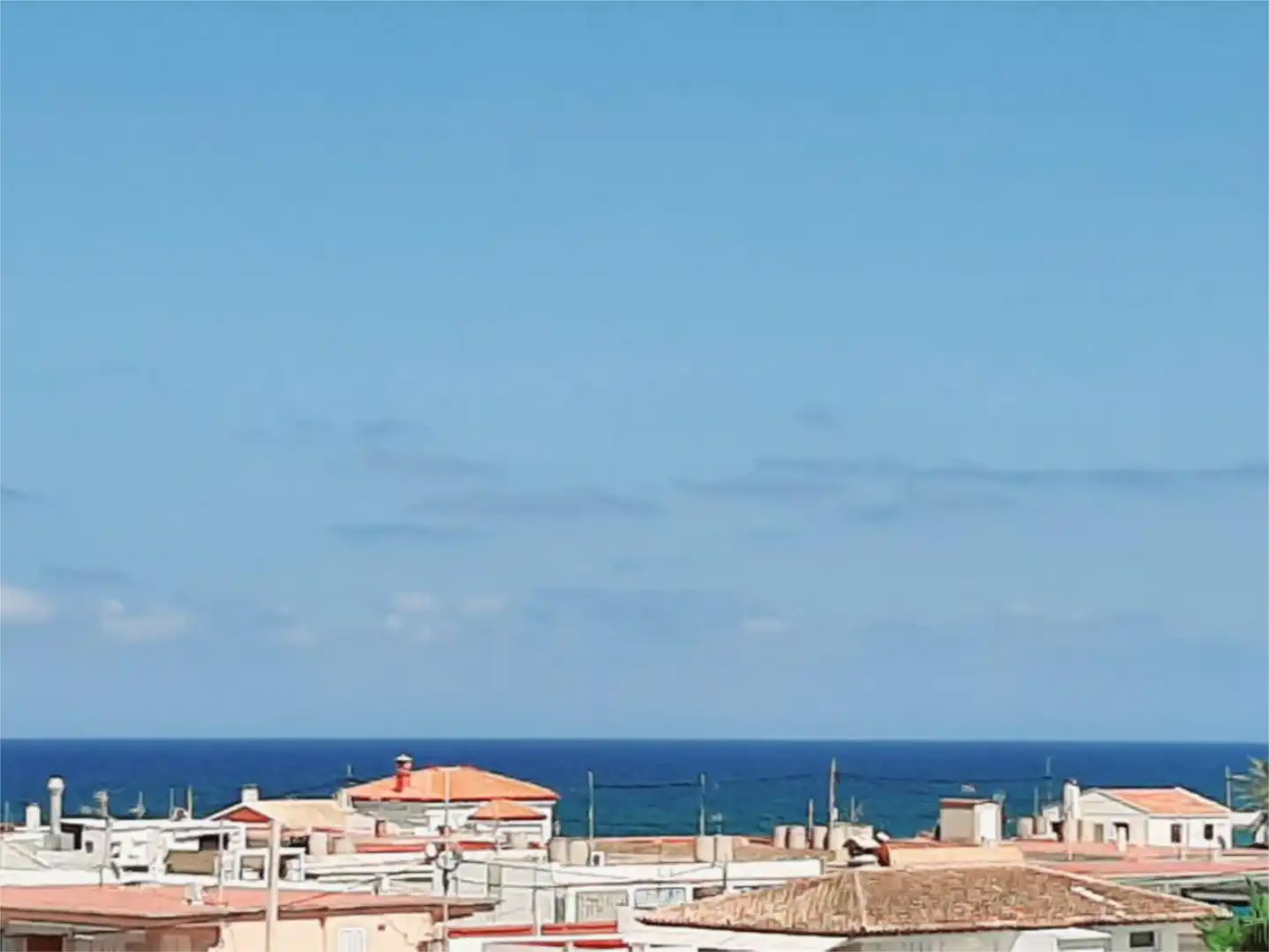 Flat for sale in Carrer de Pizarro, 4, Oliva Playa Exterior view of Flat for sale in Oliva with Terrace and Balcony