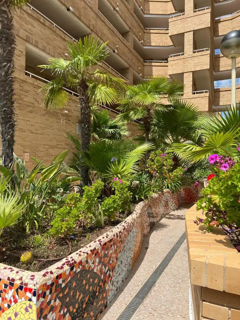 Apartamento de alquiler en Avenida Central, 44, Costa Azahar Terraza de Apartamento de alquiler en Oropesa del Mar / Orpesa con Terraza, Amueblado y Balcón