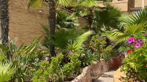 Foto 4 de Apartamento de alquiler en Avenida Central, 44, Costa Azahar, Castellón