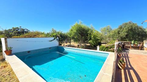 Foto 3 de Finca rústica en venta en Carretera Circunvalación, 25, Pilas, Sevilla