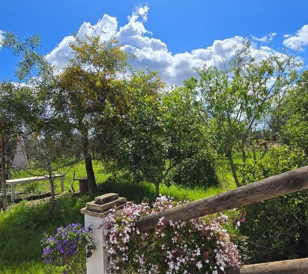 Foto 1 de Finca rústica en venta en Carretera Circunvalación, 25, Pilas, Sevilla