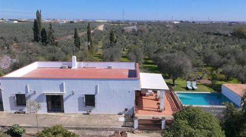 Foto 2 de Finca rústica en venta en Carretera Circunvalación, 25, Pilas, Sevilla