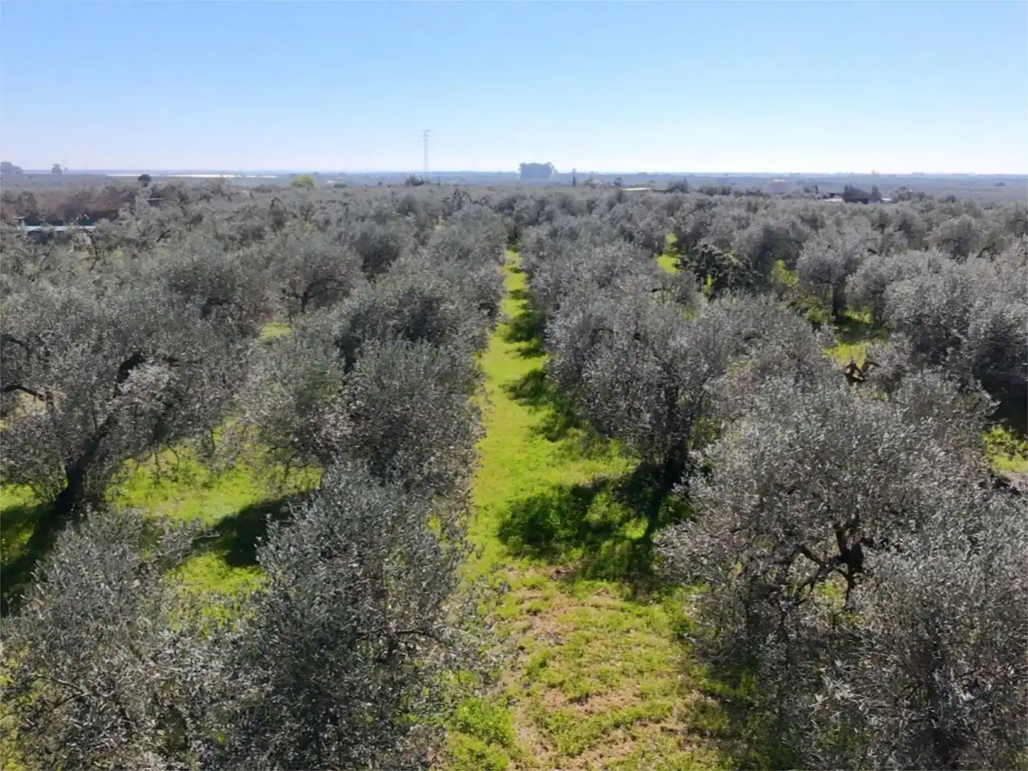 Finca rústica en venta en Pilas con Aire acondicionado, Terraza y Piscina