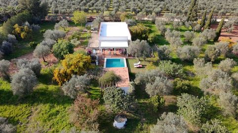 Foto 3 de Finca rústica en venta en Carretera Circunvalación, 25, Pilas, Sevilla