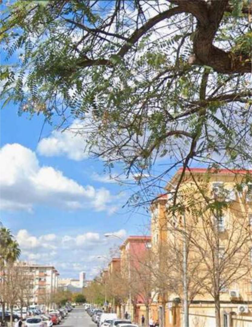 Exterior view of Flat to rent in  Sevilla Capital