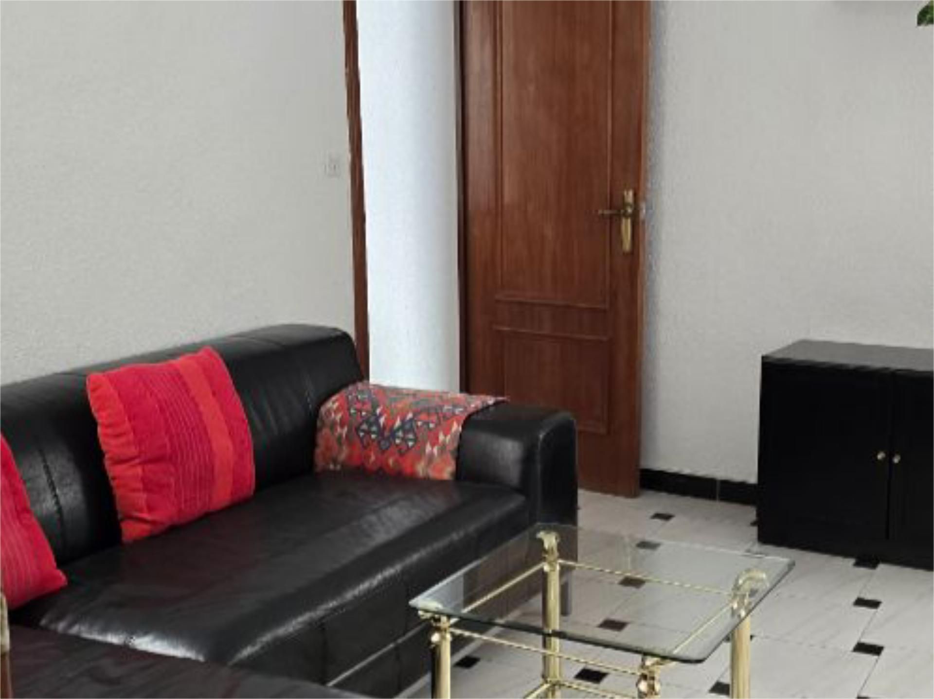 Living room of Flat to rent in  Madrid Capital  with Heating and Furnished