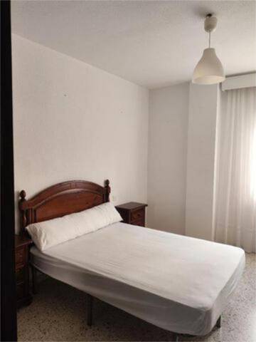 Piso en Alquiler en Avenida de Europa