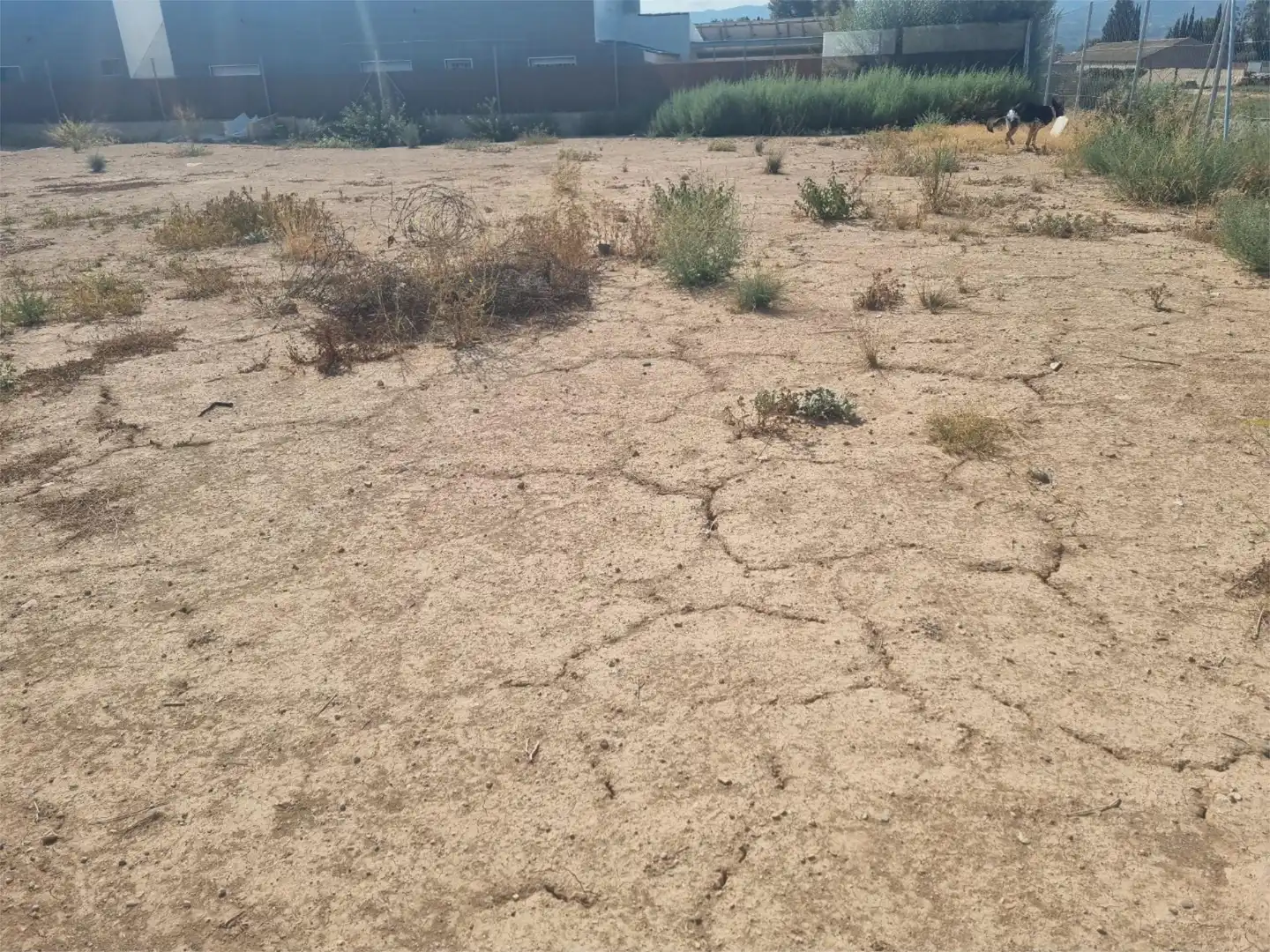 Finca rústica en venda a Avenida de Lorca, 42, Sangonera la Seca Finca rústica en venda en Murcia