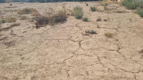 Finca rústica en venda a Avenida de Lorca, 42, Sangonera la Seca, Murcia - imatge 5 Foto 5 de Finca rústica en venda a Avenida de Lorca, 42, Sangonera la Seca, Murcia
