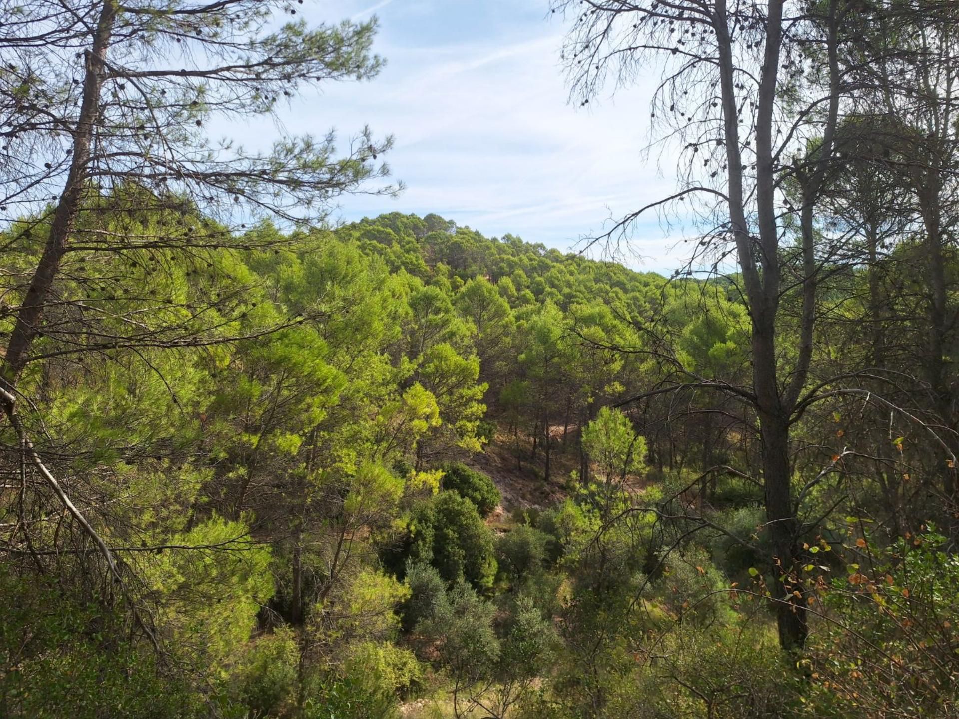 Country house for sale in Chiloeches  with Private garden