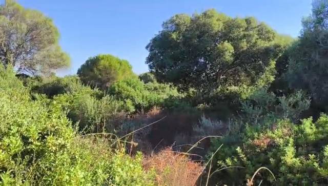 Terreno en Venta en Pago Zahora, 308 en Zahora