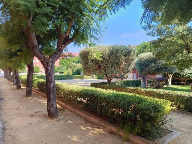 Piso en Venta en Calle Nuestra Señora del Pilar, 19 en El Cano - Los Bermejales