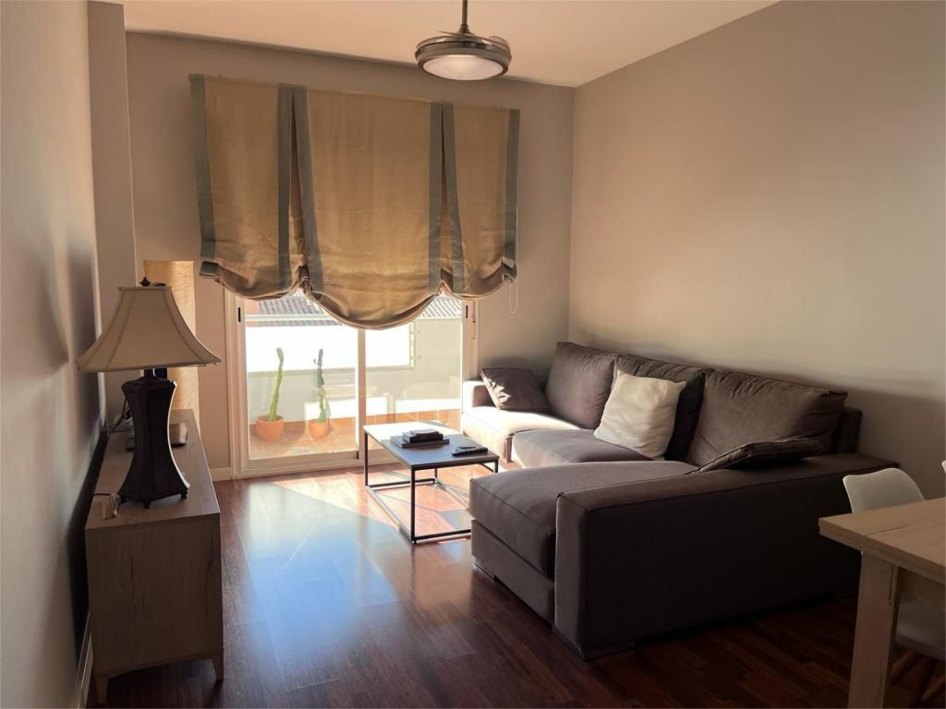 Living room of Flat to rent in  Granada Capital  with Air Conditioner, Heating and Parquet flooring
