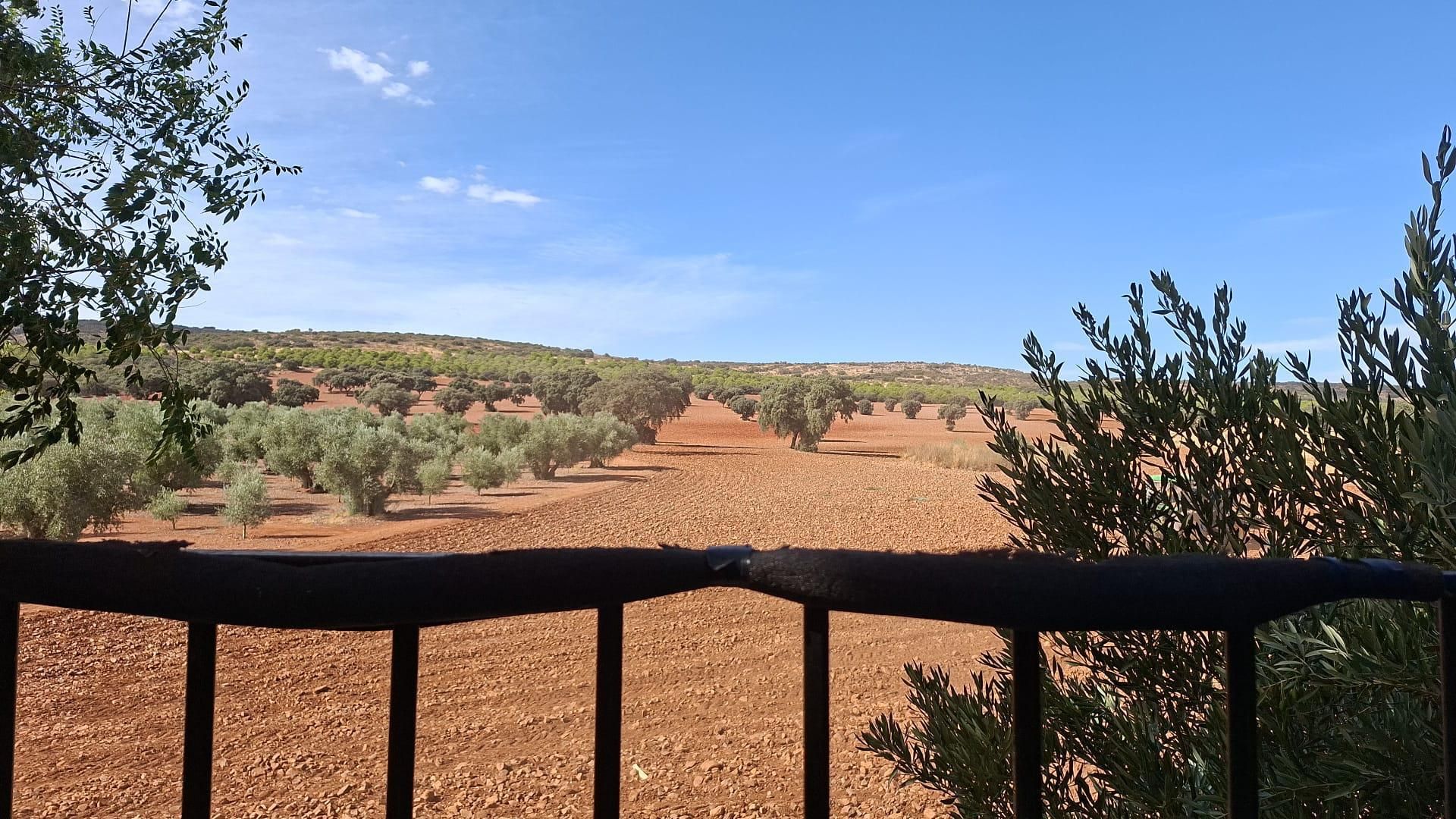 Garden of Country house for sale in Valdepeñas  with Private garden, Terrace and Furnished