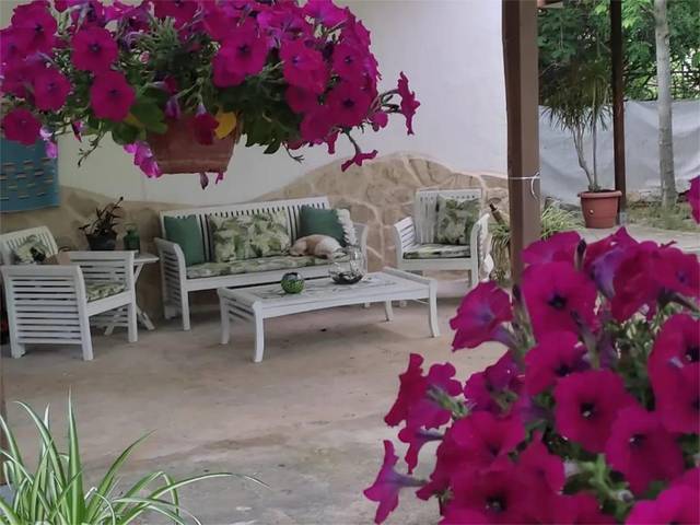 Finca rústica en Venta en Carrer Parpalló, 4 en Beniopa - Sant Pere