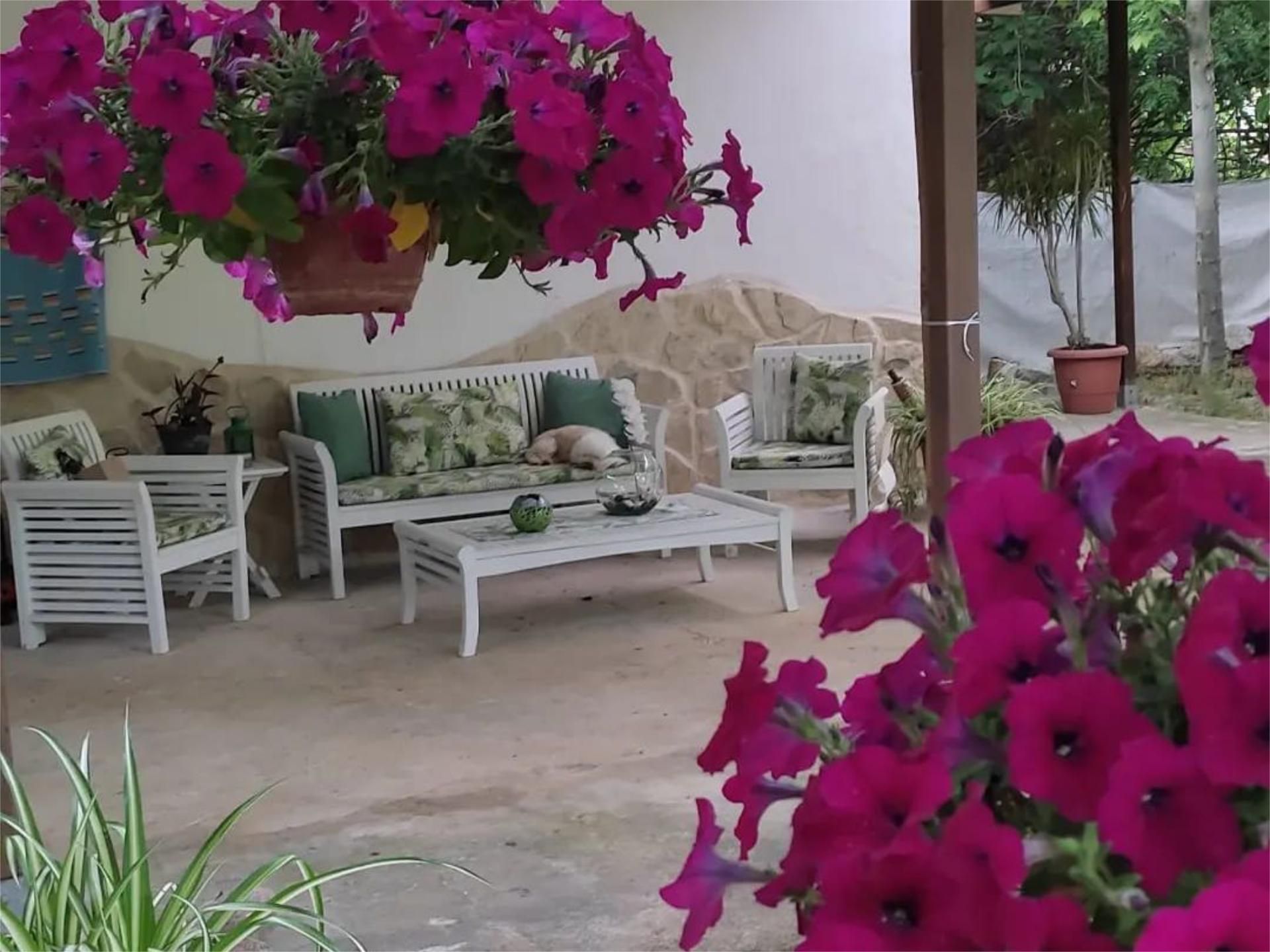 Terrace of Country house for sale in Gandia  with Private garden, Terrace and Swimming Pool