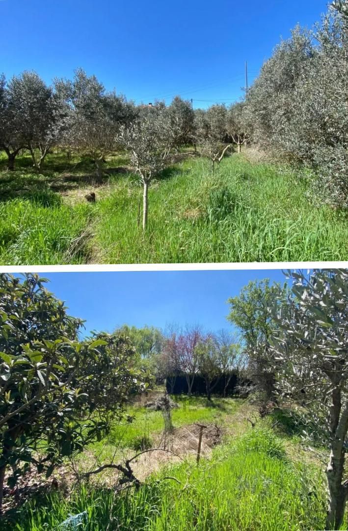 Land for sale in Grañén