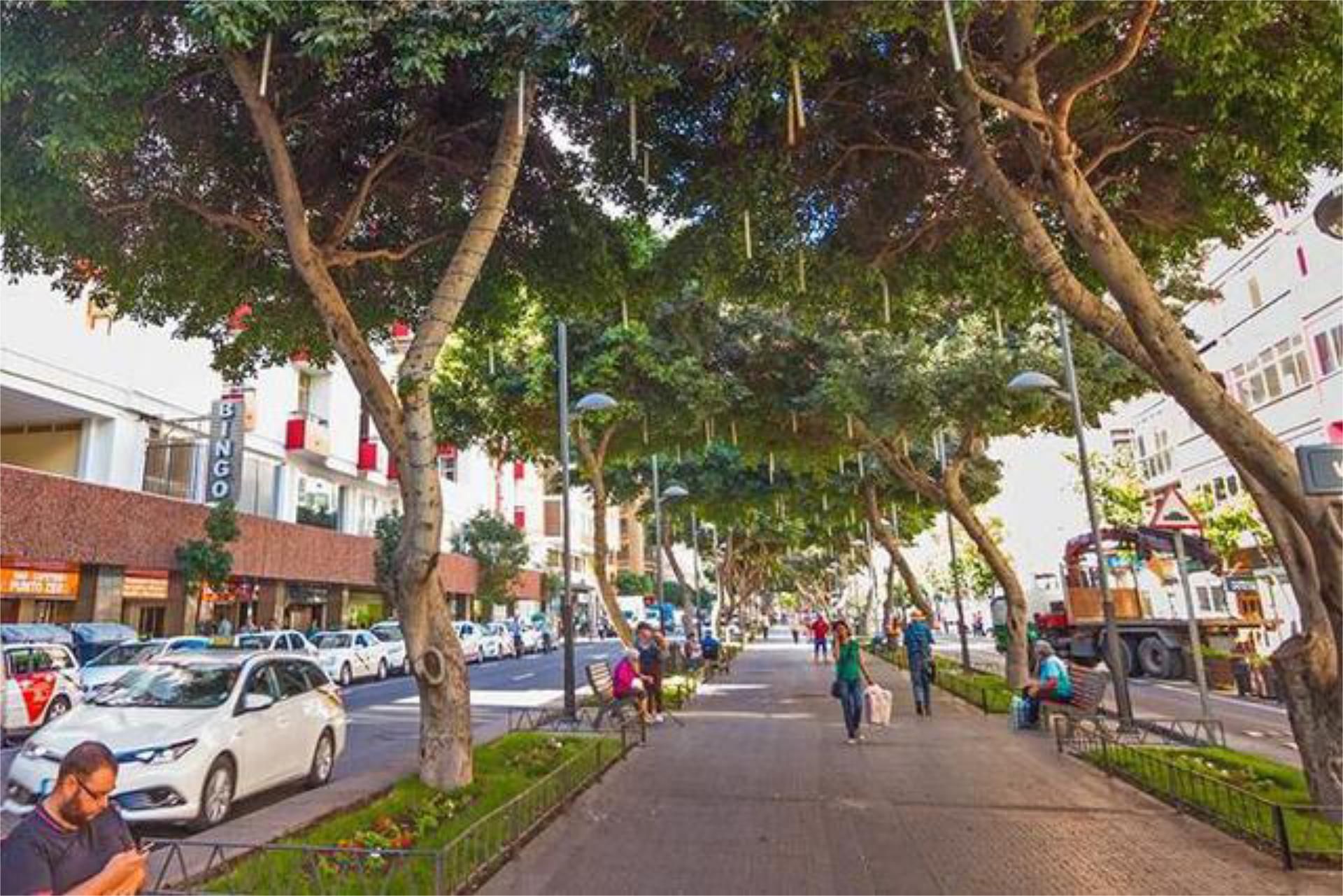 Piso para compartir en Guanarteme