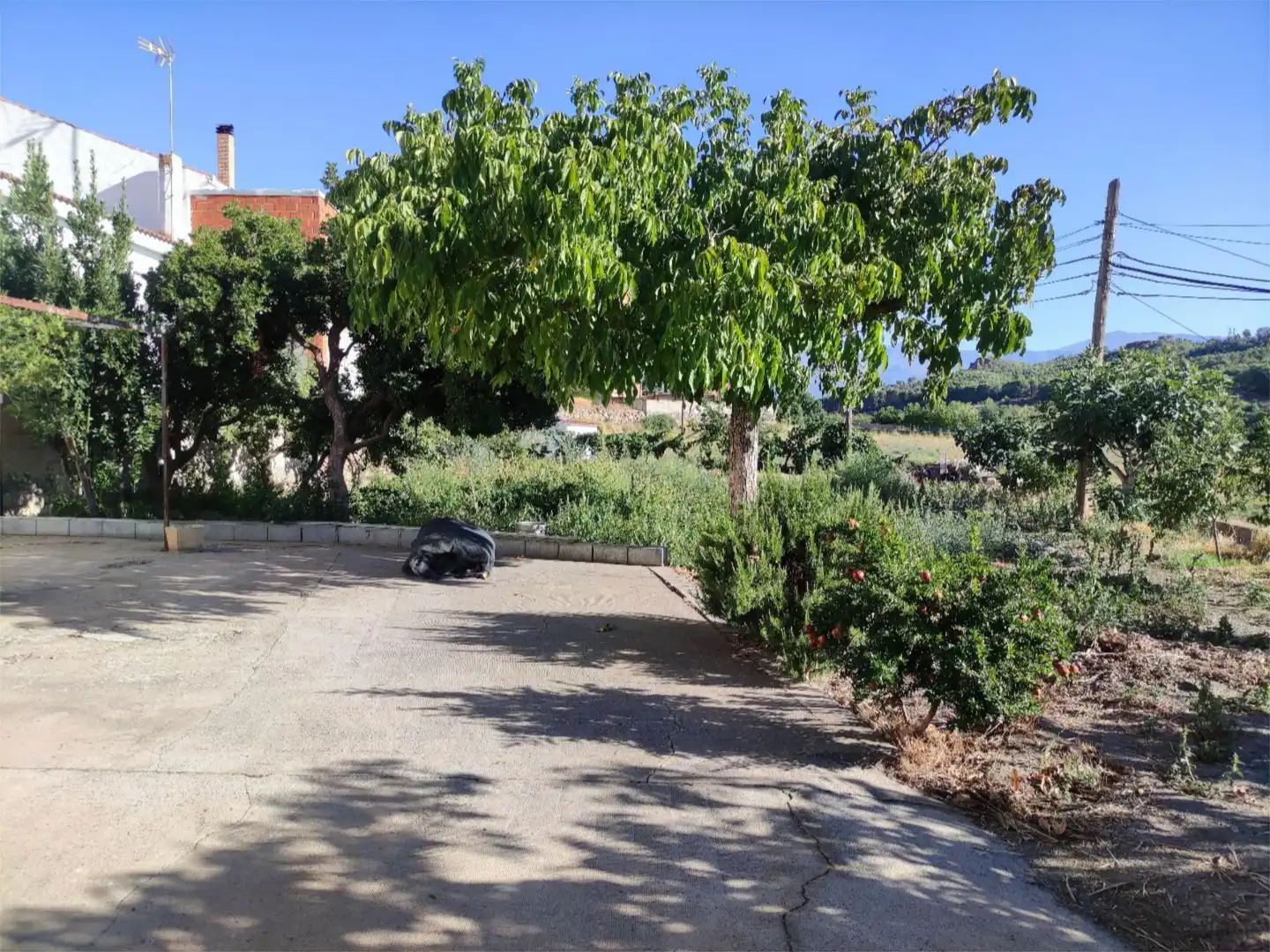 Vista exterior de Casa o chalet en venta en Valle del Zalabí con Jardín privado, Trastero y Amueblado